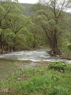 река Нишава близ села Калотина в западной Болгарии