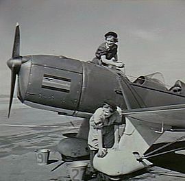 Dvije žene u kombinezonu koje spužvaju monoavion s jednim motorom