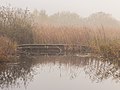 Ochtendmist hangt over 'It Wikelslân. Locatie, De Alde Feanen in Friesland.