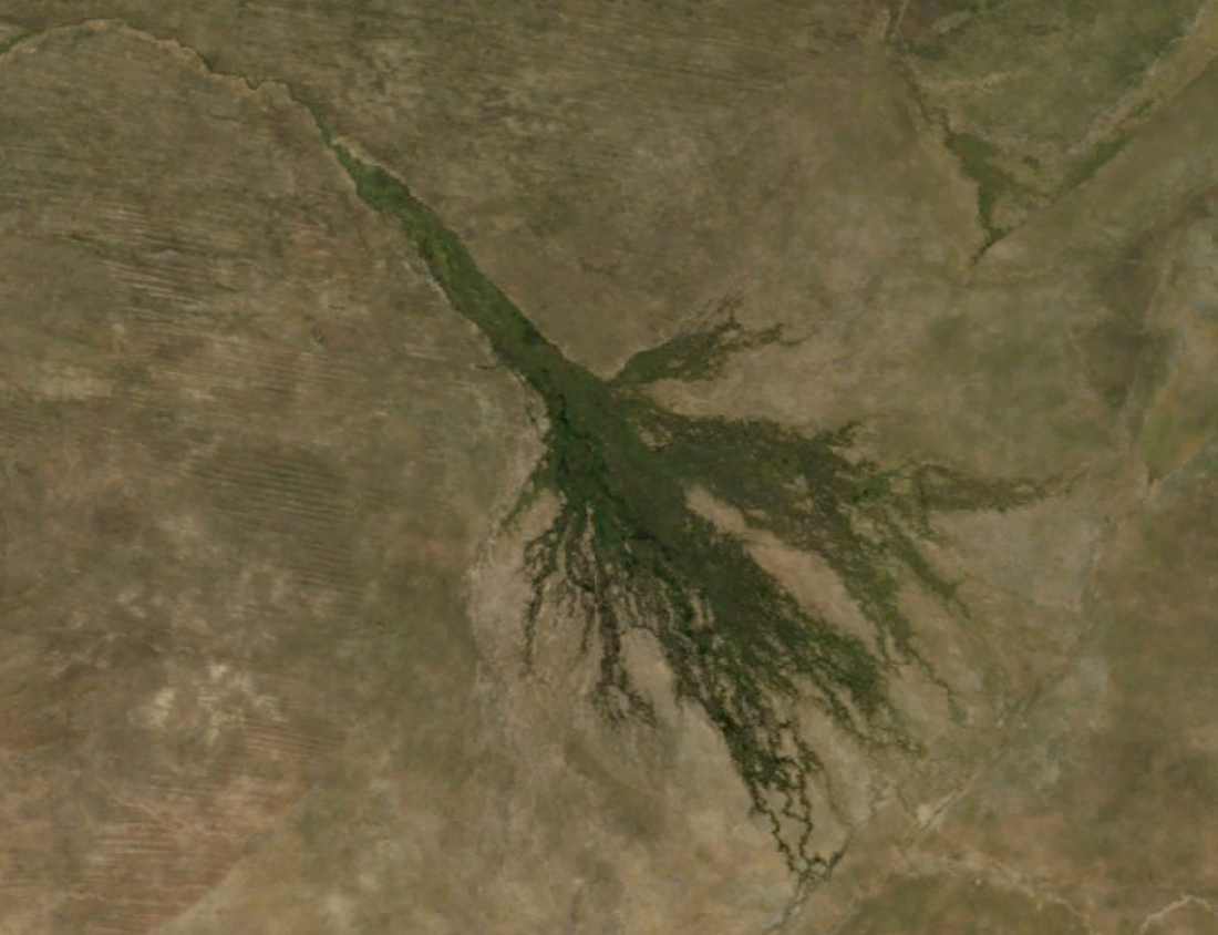 Delta de l'Okavango