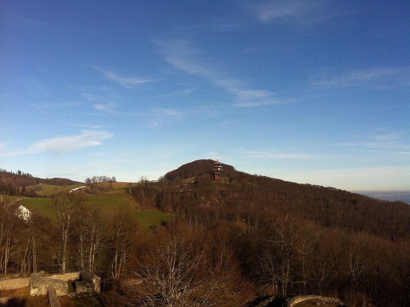 File:On Ruine Froburg - panoramio.jpg