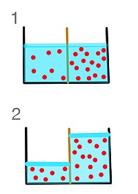 Diffusion