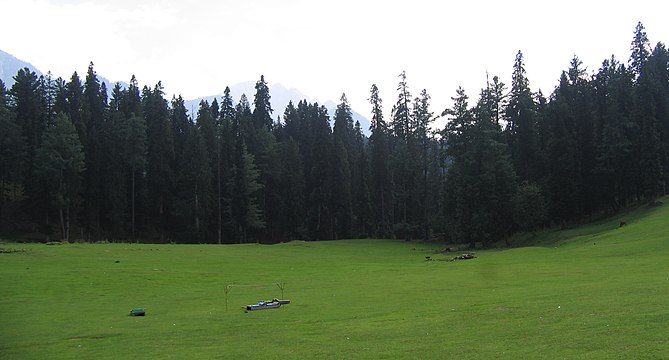 Meadows in Pahalgam