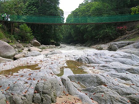 Fail:Pandangan_sekitar_bawah_jambatan_gantung_pejalan_kaki_di_hilir_Air_Terjun_Chamang,_Bentong,_Pahang.JPG