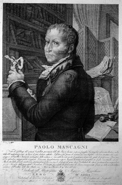 File:Paolo Mascagni. Engraving by L. Rados after R. Focosi. Wellcome M0019405.jpg