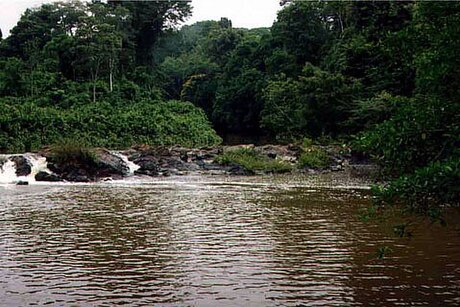 Parque Nacional da Amazônia