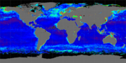 Thumbnail for Particulate inorganic carbon