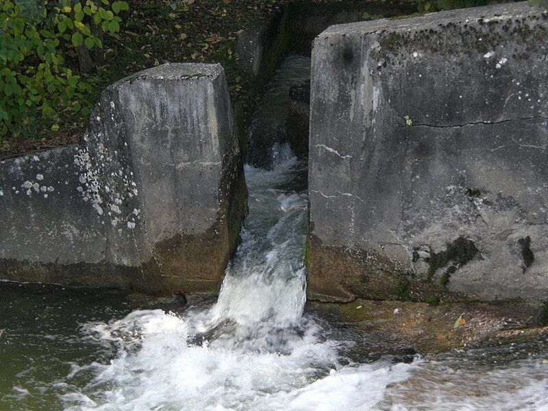 File:Passage a poissons sur la Promenthouse.JPG