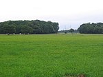 Pasture and Cows - geograph.org.uk - 35735.jpg