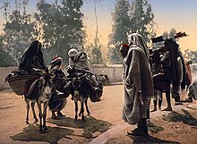 Photochrom of habitants of Tunis with their donkeys in 1899 People - Bab Alioua - Tunis - Tunisia.jpg