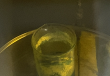 Beaker containing a Perfluorooctanoic acid sample. The sample is a white solid but appears yellow in this image due to the yellow light used in the glovebox. Perfluorooctanoic acid sample.png
