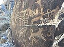 Hayvon petrogliflari