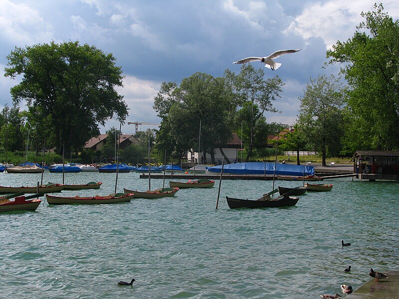 File:Pfäffikon - Pfäffikersee IMG 3359.JPG