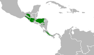 Área de distribución do quetzal resplandecente.