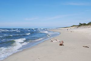 Пяски, plaża.jpg