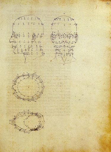 Perspective of anatomy from De prospectiva Pingendi. Piero, proiezioni di una testa scorciata dal de prospectiva pingendi, ante 1482, milano, biblioteca ambrosiana.jpg