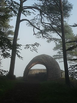 Pine Cone Point - geograph.org.uk - 2091809