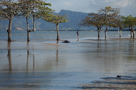 Central Beach