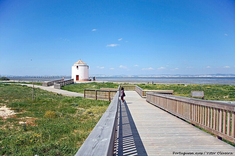 File:Praia dos Moinhos - Alcochete - Portugal (47531838872).jpg