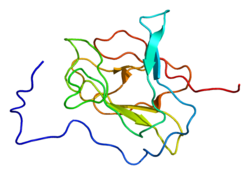 Ақуыз PPP1R8 PDB 2jpe.png