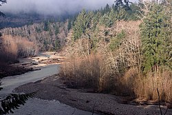 Another view of the Queets River.