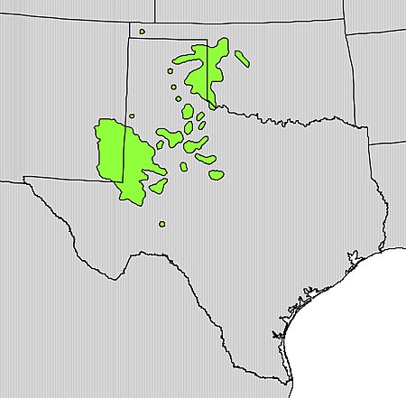 Quercus havardii range.jpg