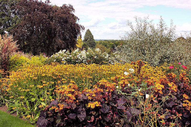 File:RHS Wisley - Explored -) (14907522779).jpg