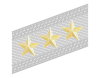 Alpini.svg'nin generale di corpo d'armata rütbe nişanları