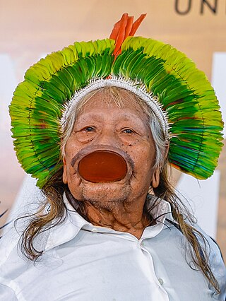 <span class="mw-page-title-main">Raoni Metuktire</span> Indigenous Brazilian leader and environmentalist (born 1932)