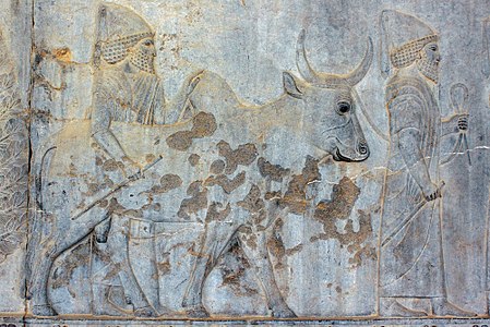 La delegació dels tributaris babilònics a l'escala est de l'Apadana de Persèpolis
