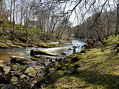 River Coquet west of Peel Cottage - geograph.org.uk - 1820902.jpg