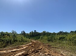 Road to the ghost town Volcan.