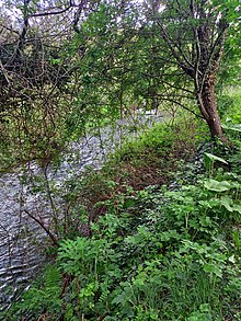 Rye Water near the Royal Canal aqueduct