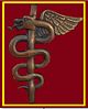 SANDF SAMHS Ops Medic dada insignia.jpg