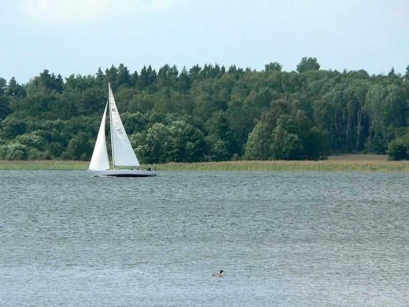 File:Sailingboat on wind.jpg