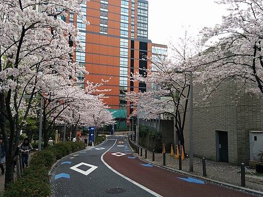 Sakurazaka te Roppongi 6-chōme met kersenbloesem, naar beneden gezien, -6 april 2016 a