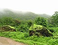 Im Oman gibt es auch grüne Wälder, vor allem nach dem Monsun