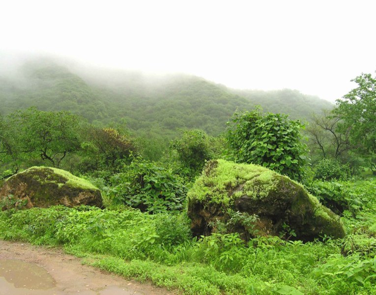 File:Salalah Oman.jpg