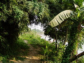 Przykładowa ilustracja artykułu Chitawan National Park