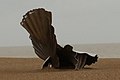 Scallop, by Maggie Hambling, as viewed from the path leaving Aldeburgh in the direction of Thorpeness, from which vantage it takes the shape of a seabird