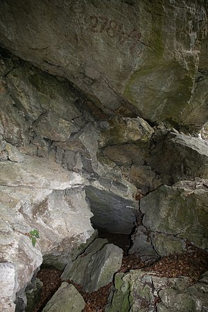 Schichtgrenzhöhle 2784 11 005.jpg