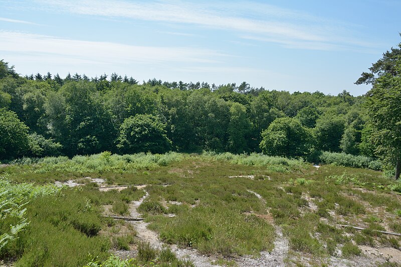 File:Schleswig-Holstein, Brickeln, Landschaftsschutzgebiet Papenknüll Brickeln NIK 6691.JPG