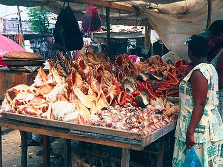 Photo of a vendor in Tanzania in 2000 selling to tourists threatened species seashells which have been taken alive from the sea, killing the animal inside.
