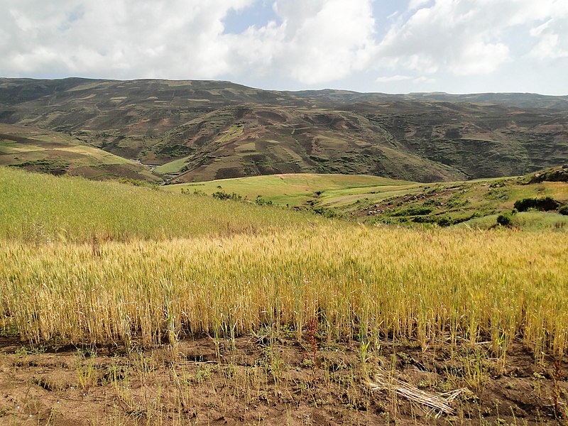 File:Simien Mountains National Park 03.jpg