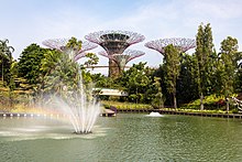 Supertrees with elevated walkway Singapore (SG), Gardens By The Bay -- 2019 -- 4755.jpg
