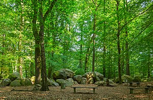 Large stone grave Large sloop stones in the nature reserve "Sloopsteene" (May 2018)