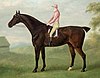 Thoroughbred racehorse "Smolensko", winner of the 1813 Epsom Derby, ridden by jockey Tom Goodisson.