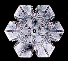 Photograph of a snowflake by Wilson Bentley