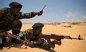 Somalia: Historia, Gobierno y política, Organización político-administrativa