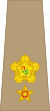 South Africa-Army-OF-4-1961.svg